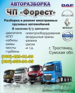 ЧП Форест