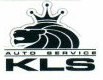 Логотип KingLion service