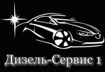 Дизель Сервис 1